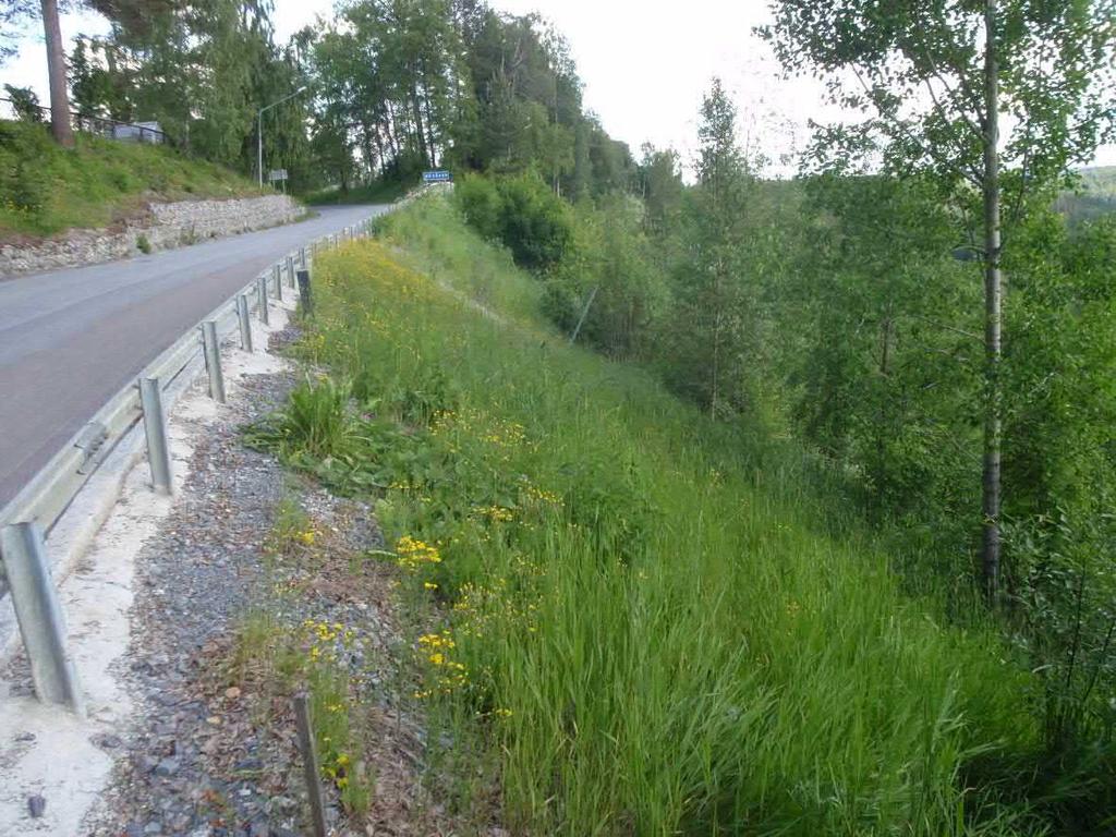 Figur 49. Delområde 5 i slutet av juni 2010. Det är också mycket viktigt att fortsätta följa upp åtgärderna, framförallt avvattningsåtgärderna, som kan skapa stora problem om fel uppstår.