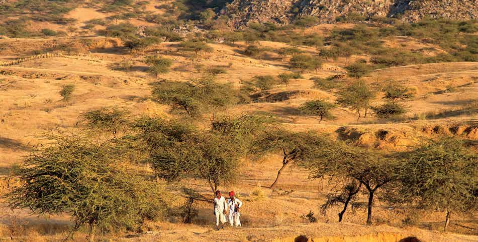 Pushkar ligger alldeles i utkantan av Tharöknen, den ostligaste delen av det väldiga