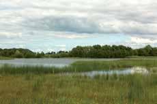 Naturtyper i Helsingborg Naturen brukar beskrivas utifrån relativt enhetliga områden i karaktär och
