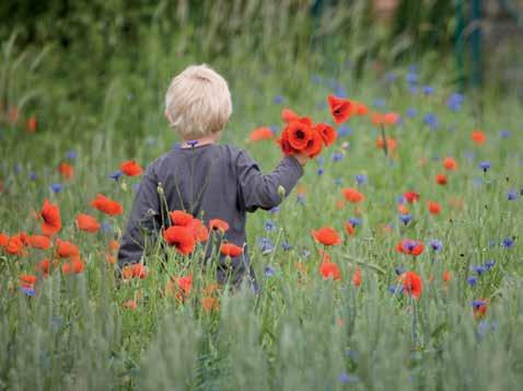 Bärande träd och buskar För fåglar och insekter är blommande och bärande träd och buskar viktiga.