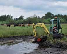 Strategier för biologisk mångfald Målsättningen är att den biologiska mångfalden ska bestå av livskraftiga populationer av växt- och djurarter som hör till Helsingborgslandskapet.