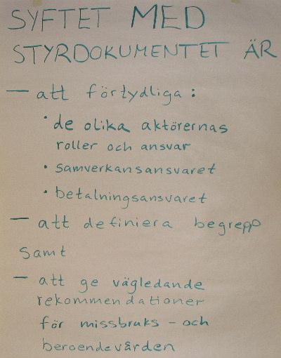 3 Syftet med styrdokumentet Mötesdeltagarna arbetade tillsammans för att enas