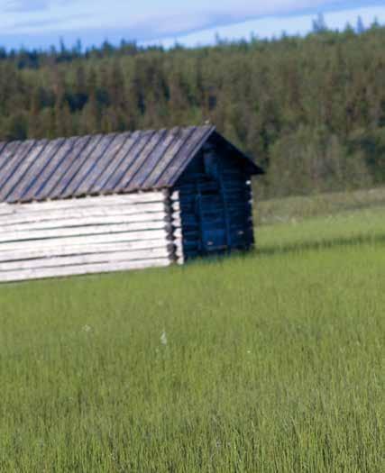 danskonsulenten i gemensamma projekt och aktiviteter och genom nätverk och utvecklingsarbete stöds grupper som barn och unga, professionella dansare och danspedagoger.