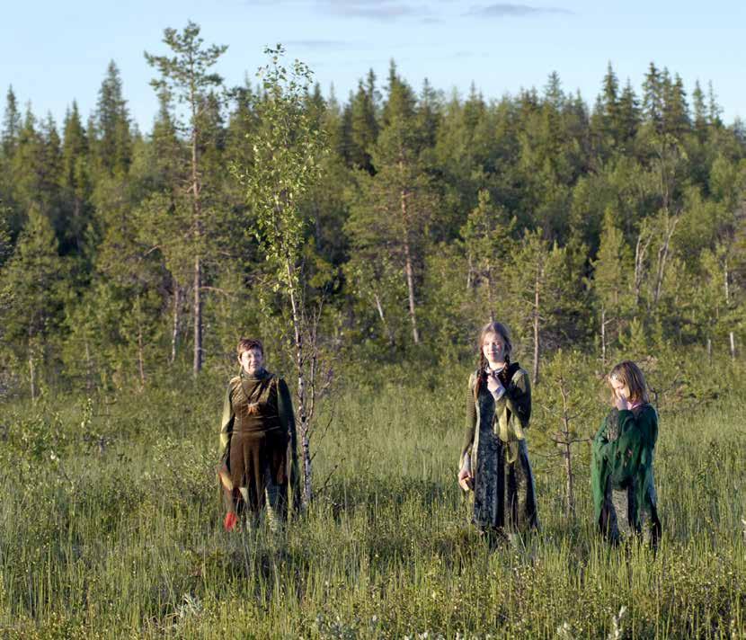 Foto: Anders Alm Dans och teaterföreställning på slåttermyren Vasikkavuoma Process för Kulturplan Norrbotten 2018 2021 Region Norrbotten genomförde under 2017 dialogprocesser och samrådsarbete med