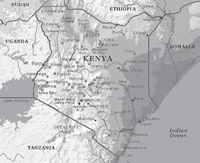 Kenya nyhet som adoptionsland Vi har nu fått auktorisation från MIA för samtliga av våra nuvarande samarbetsländer för åren 2008-2009 samt för Kenya, som är ett nytt samarbetsland för FFIA.