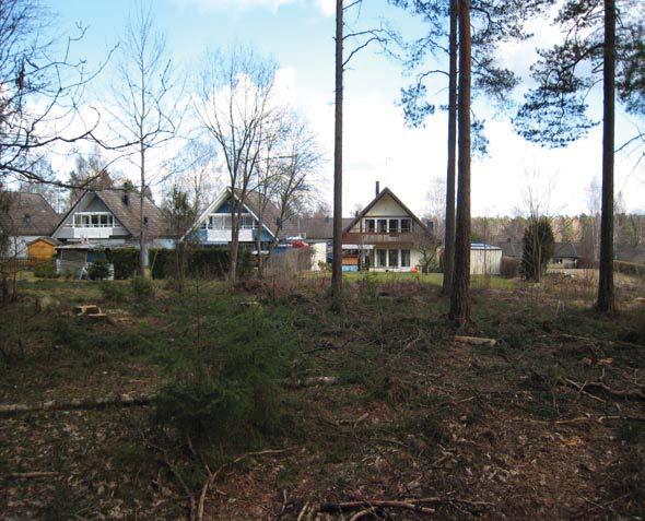 Område 14 Gles barrskog, med ett stort inslag av löv.