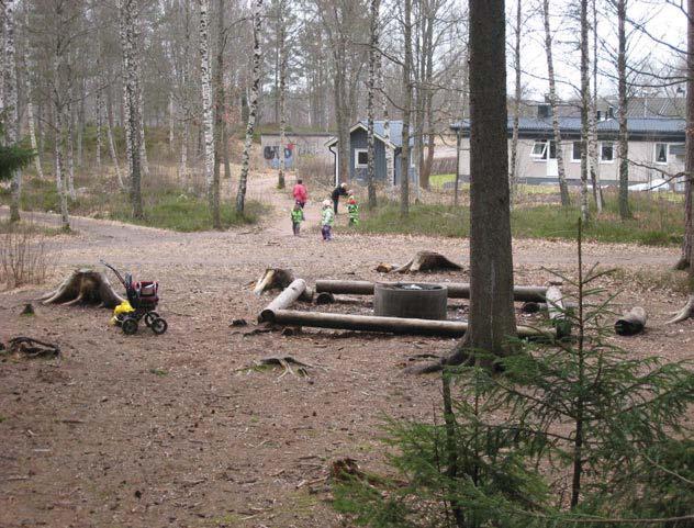 I området återfinns de skyddsvärda arterna grönvit nattviol, jungfrumarienycklar och knärot och det finns en stor variation av trädslag.