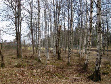 lövskog Simhall