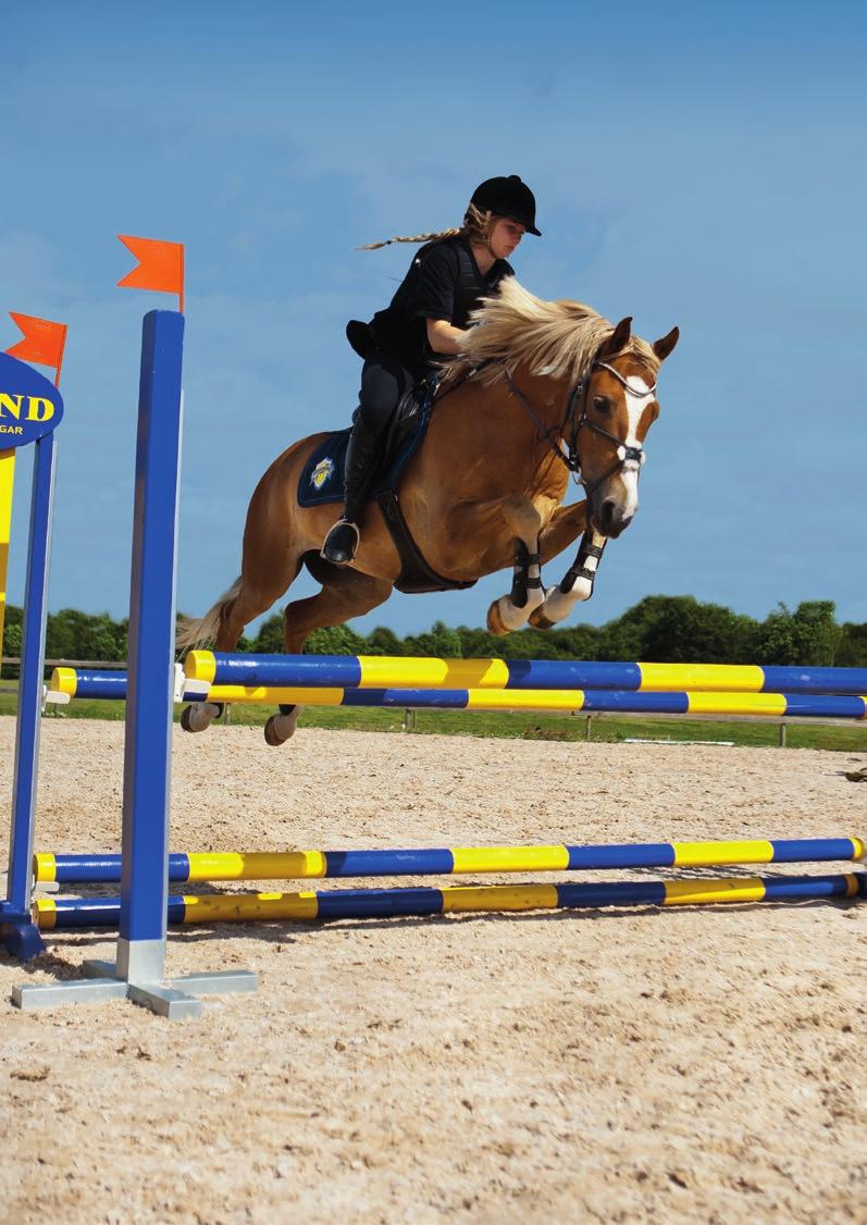 20 AW Sporthorses &