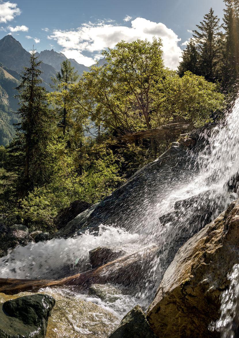 MED GEBERIT AQUACLEAN utökar du ditt spa-utbud med en innovativ produkt. uppfyller du dina gästers stigande krav. optimerar du badrummets gestaltning. utmärker du dig gentemot konkurrenterna.