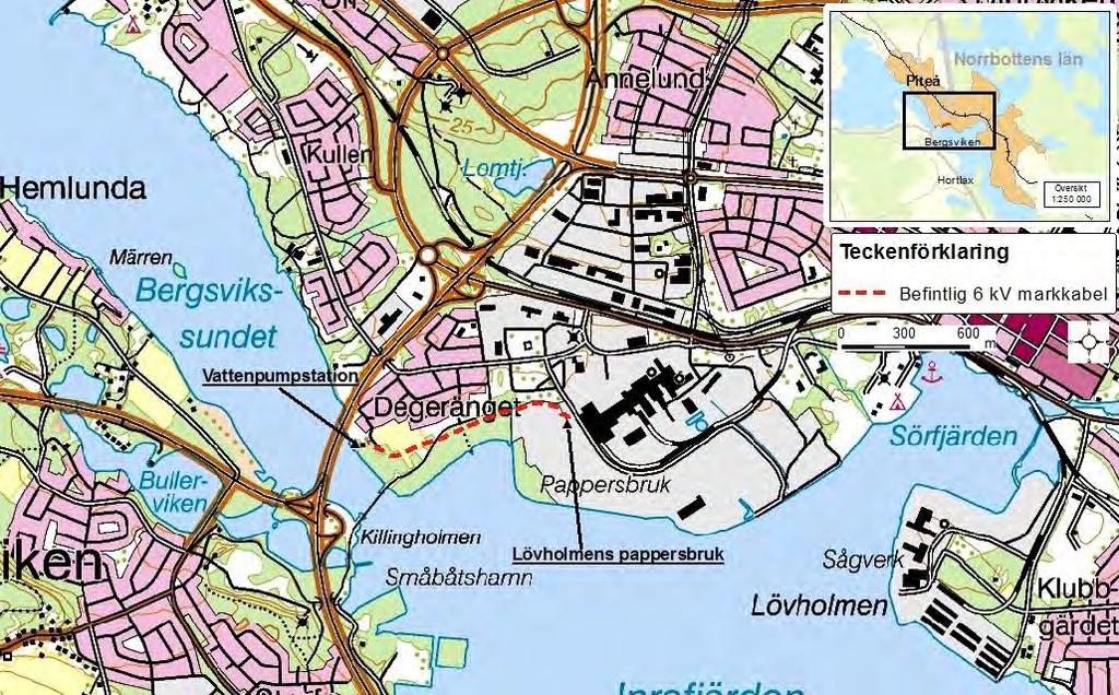 1 Inledning 1.1 Om Smurfit Kappa Smurfit Kappa Kraftliner Piteå Aktiebolag (nedan Smurfit Kappa) är ett av Sveriges ledande företag inom pappersbaserade förpackningar.