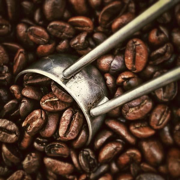 KAFFE/AVEC cl Espresso 25:-/30:- Lungo 30:- Cappuchino 30:- Caffe Latte 35:- Varm Choklad & Grädde 40:-