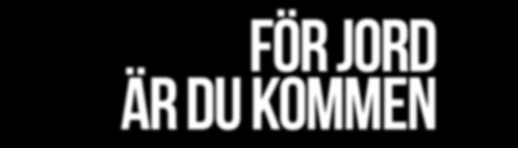 TÄNKANDE VA/NÄT EN LÖNSAM NISCH Björn