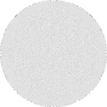 SVENSKA Vitbalanseringens gråkarta HS-nr: 1021483 Bilden är oskarp eller överexponerad Strukturen kan identifieras 5.