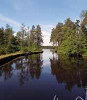 Goda råd behöver inte alltid vara dyra och vi fick massor av tips. På gotakanal.