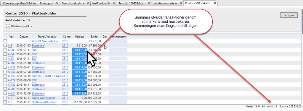 I Slutrapporten och i alla andra rapporter, kan du markera flera belopp eller saldon för att få en summering