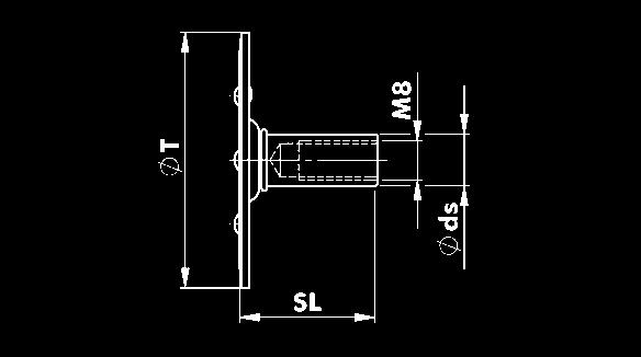 24 1/25 M27 41 45,20 23,8 0317 99 27 1/10 M30 46 50,85 25,6 0317 99 30 1/10 M33 50 55,37 28,7 0317 99 33 1/5 M36 55 60,79 31,0 0317 99 36 1/5 GÄNGSTÄNGER DIN 976-1 (form A) med metrisk ISO-grovgänga