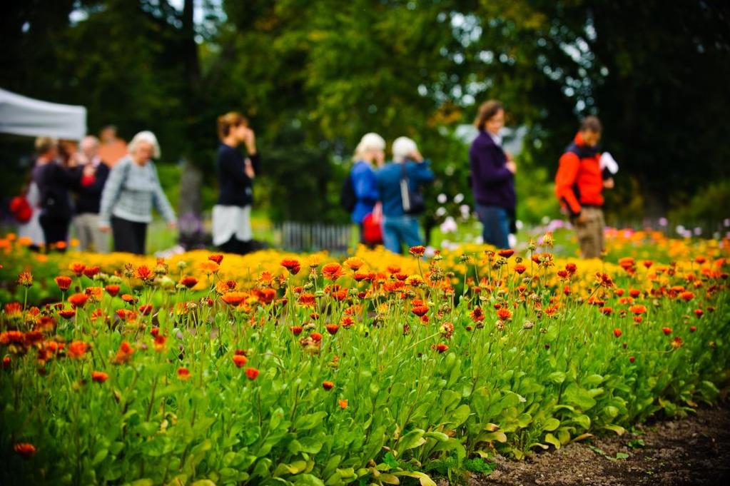 2.2. Tjänstemannagrupp Styrelsen har utsett en tjänstemannagrupp bestående av ledande tjänstemän från medlemmarna.