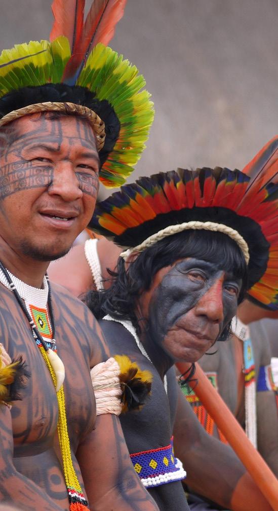 Förhoppningsvis hittar vi också apor. På eftermiddagen åker vi uppför floden Tapajós i cirka 4 timmar för att möta Tapajós urbefolkning, indianstammen Munduruku.