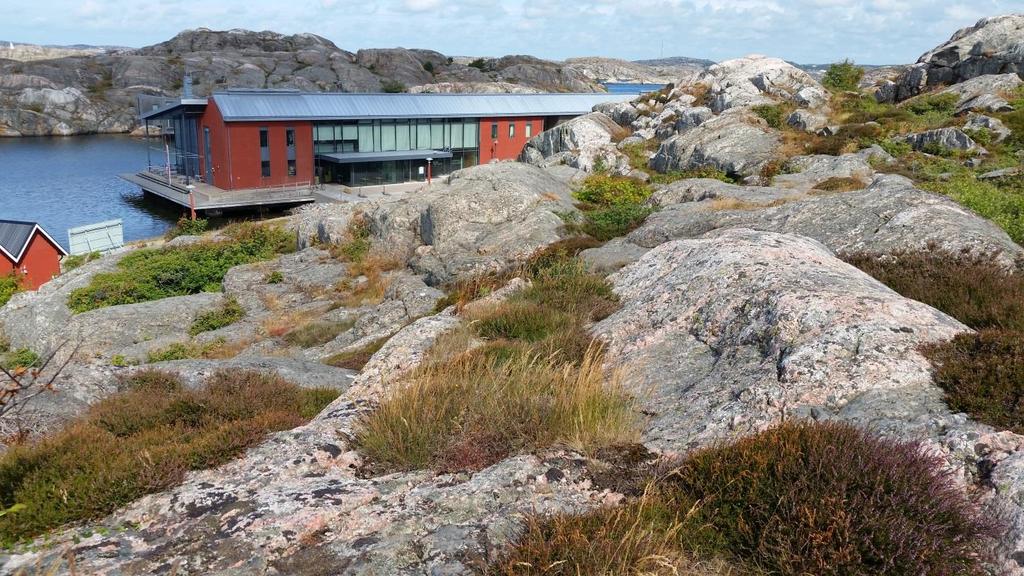 TJÖRNS KOMMUN Skärhamn Södra hamnen Naturinventering