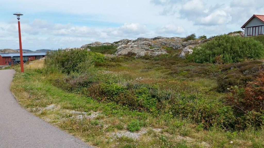 För att komma till dit från gångvägen behöver man dock korsa en mindre våtmarksyta.