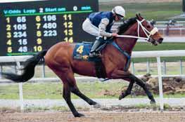 TIPS & RANK V4 & V5 BRO PARK BANKOD 48 TIPS AV ULF ZEIDER Lopp 1 Lopp 2 - V4-1 Lopp 3 - V4-2 Lopp 4 - V4-3, LD-1, V5-1 Lopp 5 - V4-4, LD-2, V5-2 Lopp 6 - V5-3, V3-1 Lopp 7 - V5-4, V3-2 Lopp 8 - V5-5,