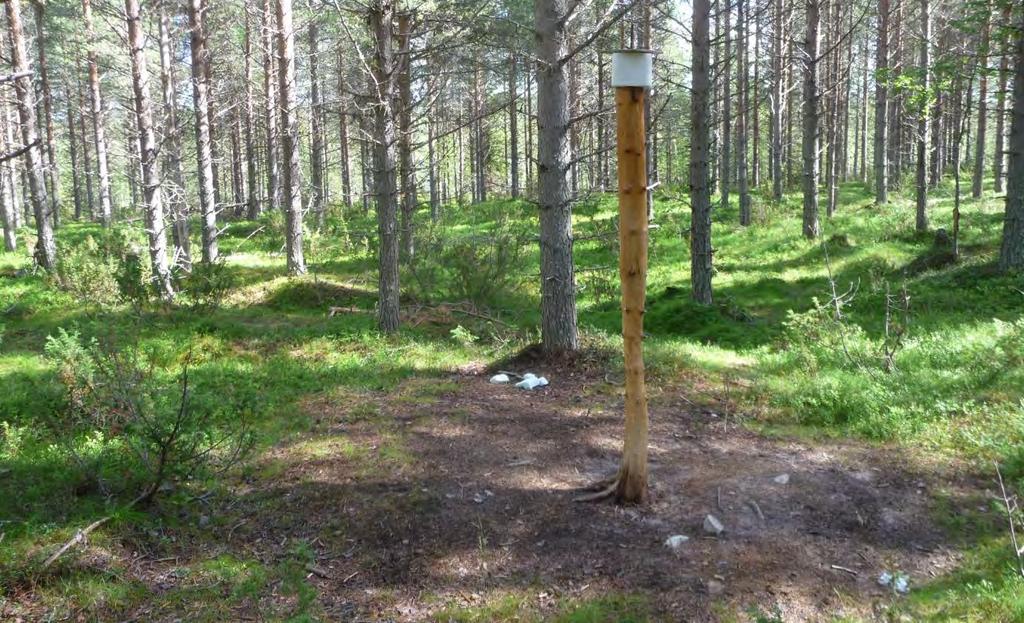 besiktningsförhållanden med här och var smärre markskador.