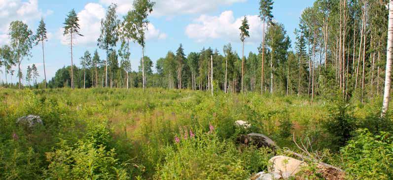 utredning och motiveringar blir ännu viktigare än tidigare, om man vill avvika från de schablonmässiga värdena i anvisningen. Då behövs ett expertutlåtande, t.ex. värderingen.