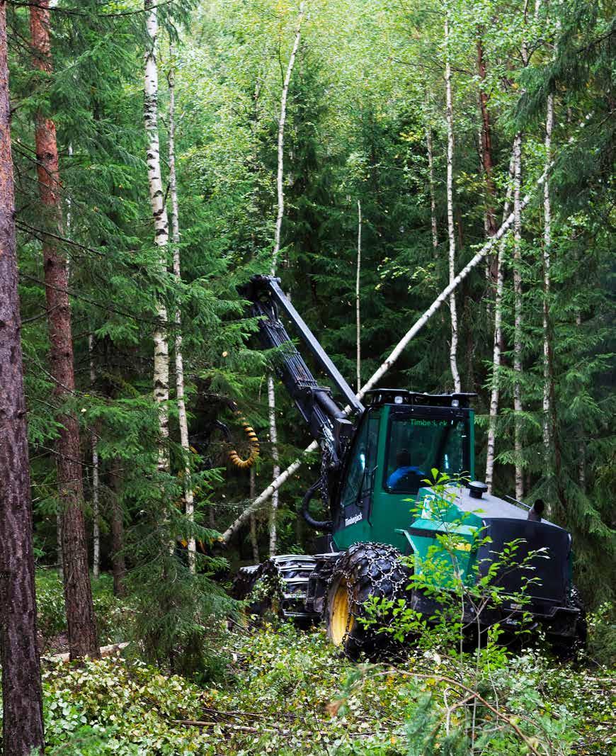 Skogsbrukets inkomster I beskattningen av kapitalinkomst av skogsbruk ska skogsägaren anteckna skogsbrukets alla inkomster och uppge dem i sin skattedeklaration.