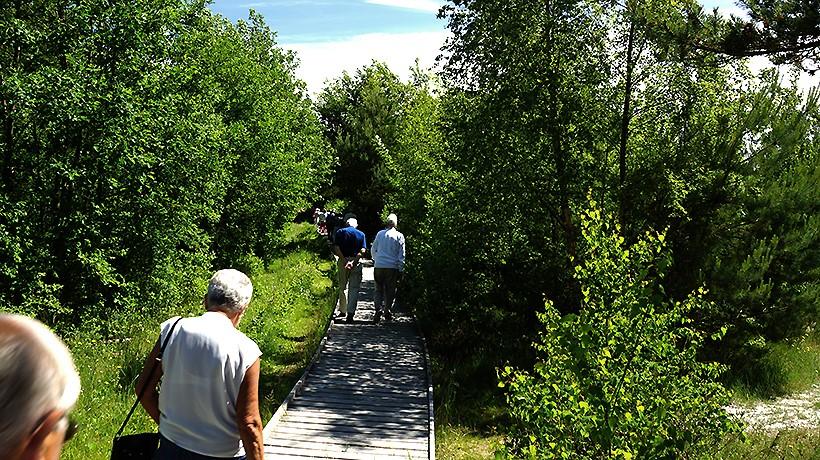 Från Nexö går vår färd via kusten till badorten Dueodde där vi gör ett stopp