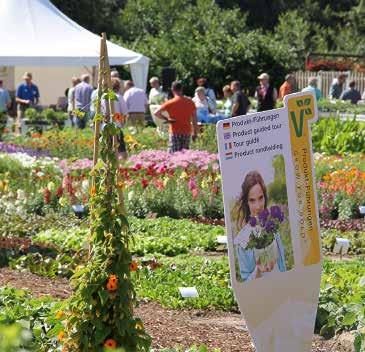Inom följande områden är vi framgångsrikt verksamma internationellt: Produktion och försäljning av vegetativt och generativt förökade blom- och grönsaksungplantor samt frukt Förökning och försäljning