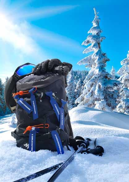 TRANSFER TILL FJÄLLET ÅRE TIDER
