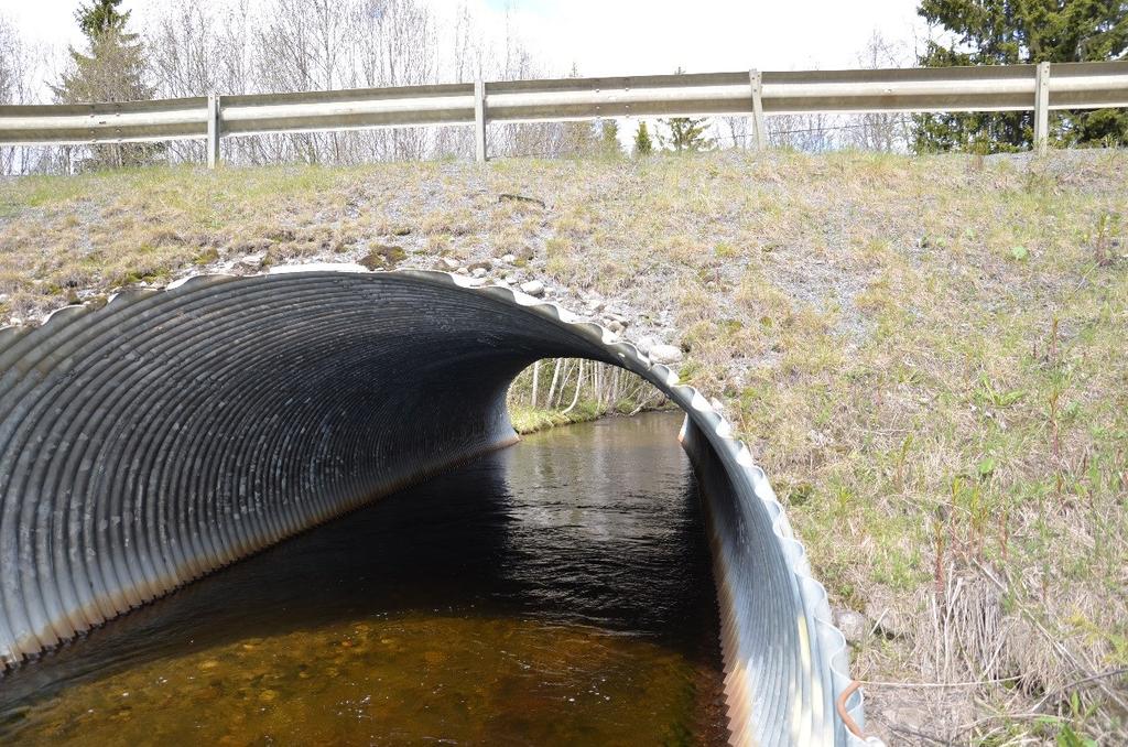 Strax sydost om planerat vägområde, på ett avstånd av ca 50 m, finns en sumpskog (figur 7). Genom sumpskogen passerar vattendraget Rullån.