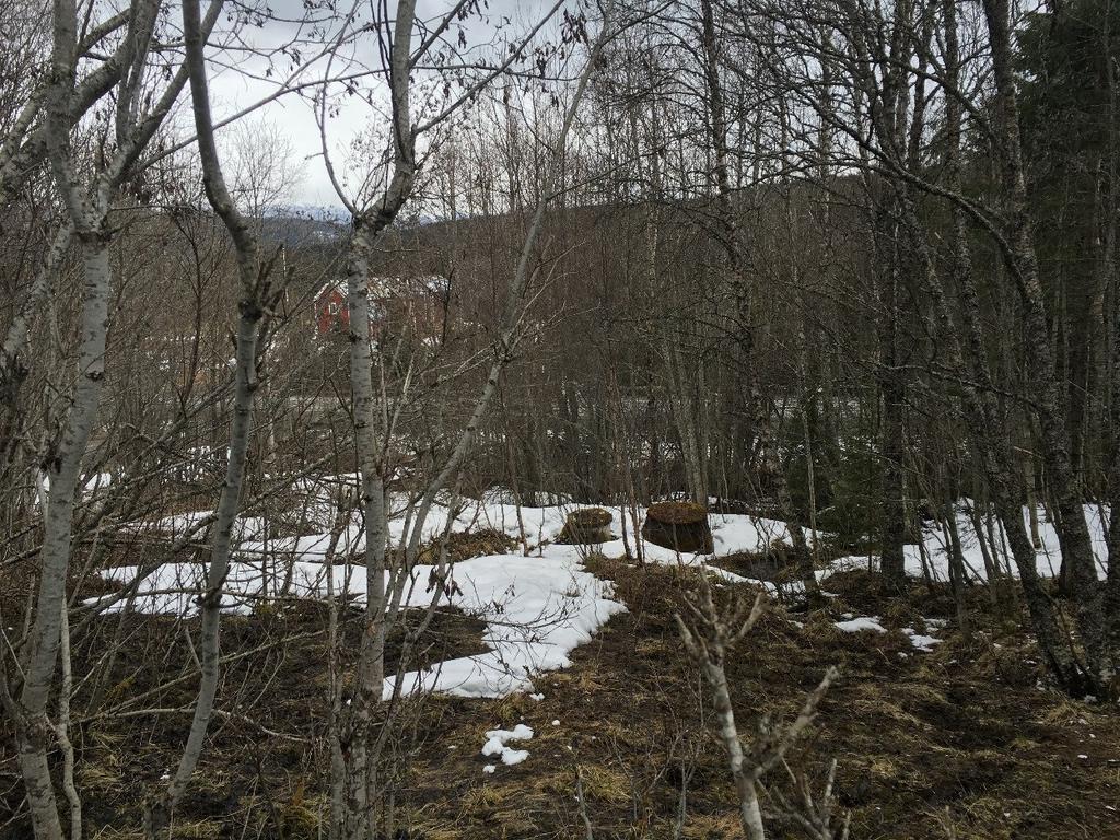 4.7.2. Jord- och skogsbruk Jordbruk är traditionellt områdets huvudsakliga näring och i byn finns några jordbruksföretag. Åkermarken används främst för vallodling. I området bedrivs även skogsbruk. 4.
