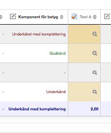 1. Du är i Betygsboken och den inlämningen (kolumn) du vill markera nivåer på Bild 9 Fullföljande av aktivitet.