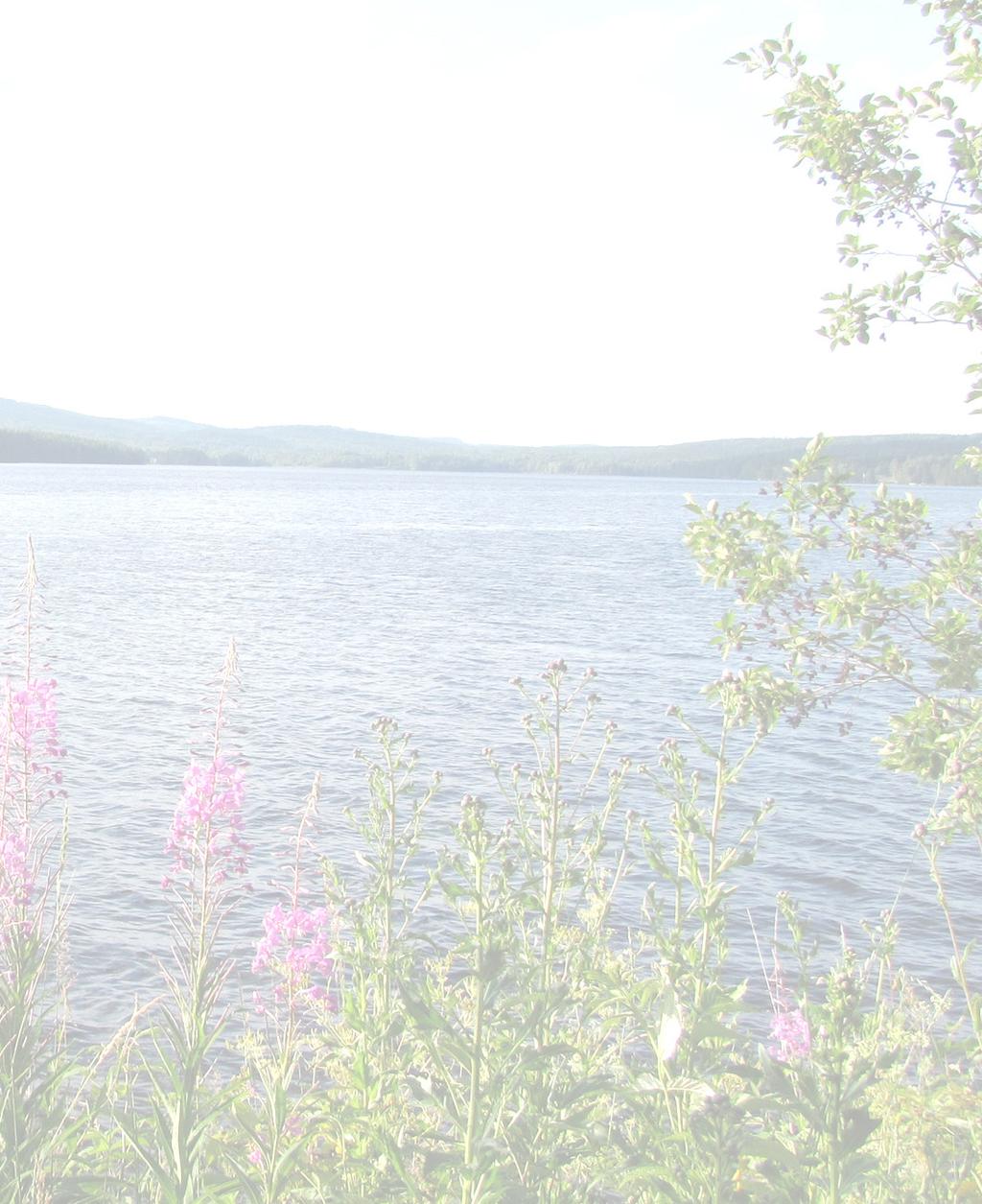 Mötestillfällen Juli ~ Aug Söndag 12 juli kl. 11.00 Gudstjänst. Jan Åberg. Torsdag 16 juli kl. 10.00 Vad är det att vara församling? David Lund. Läs gärna Matteusevangeliet. Medtag fikakorg.