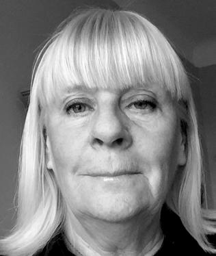 Vid vårmötet beslutade juryn att nominera 23 bidrag till Guldspaden, samt att dela ut ett hedersomnämnande. Vid detta tillfälle beslutades också vilka bidrag som ska belönas med 2017 års Guldspadar.