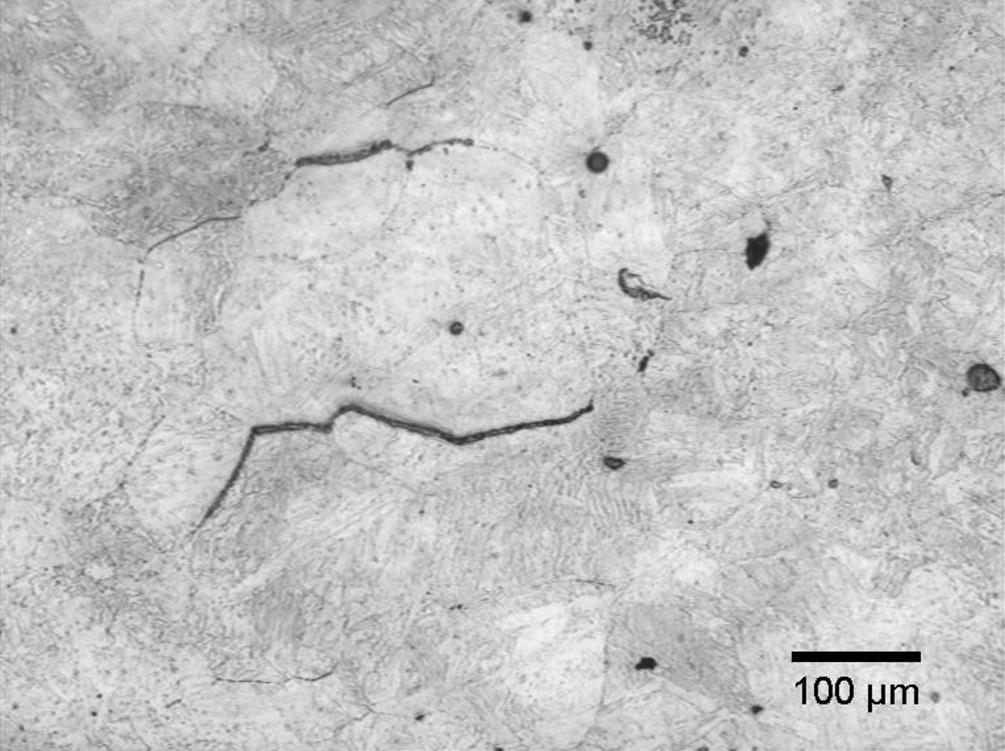 För att klassas som mikrospricka ska även längden på sprickan vara minst 100 µm, vilket inte uppfylls i fallet från 2006.