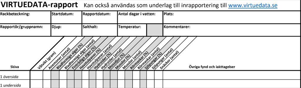 Omgjord virturapportering http://www.virtuedata.se/sv/artgrupper Titta på djupet som racken satt, Hur djupt ner från ytan satt första våningen? Hur djupt var det under sista våningen?
