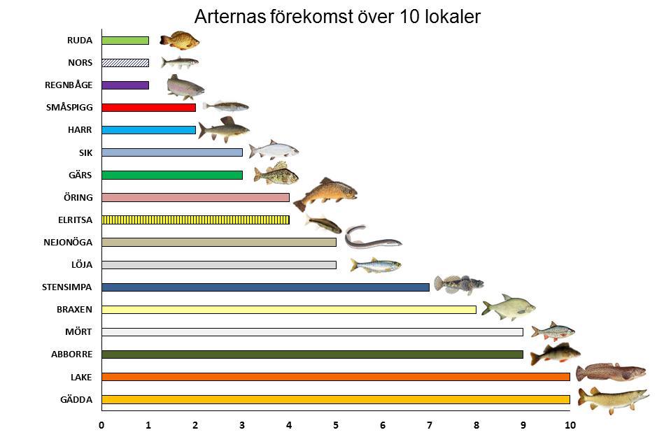 3. RESULTAT OCH DISKUSSION 3.1.