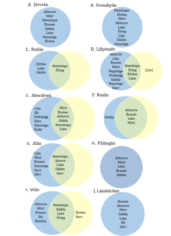 Figur 7. Venndiagram.