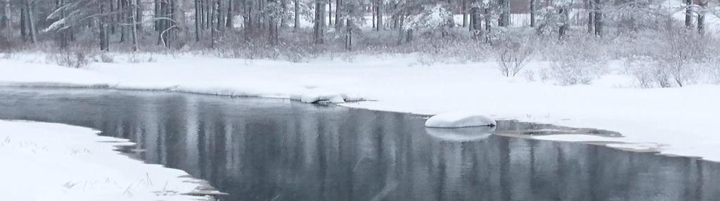 3.7.5. Alterälven Laxfiskar förutom sik saknades här. Andel fiskarter som leker på grus och sten (lithofila) var 4/12 vilket kräver rena strömmade bottenförhållanden.