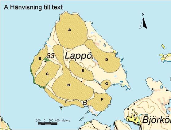 Delområde A Inventeringsområdet ligger över norra udden och upp mot norra sluttningen av "Lappöberget". I yttre delen av udden är terrängen flack med en gles granskog med inslag av höga tallar.