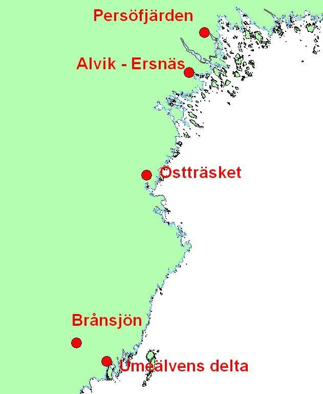 11. Förekomst av sädgäss på andra rastplatser längs Norrlandskusten 18 Syfte: Syftet med detta delprojekt är att få ett kvantitativt mått på hur många sädgäss som samtidigt vistas vid andra