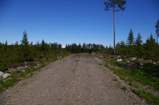 TEKNISK BESKRIVNING Det är leverantören av vindkraftverken som detaljplanerar transporten av vindkraftverken till platsen.