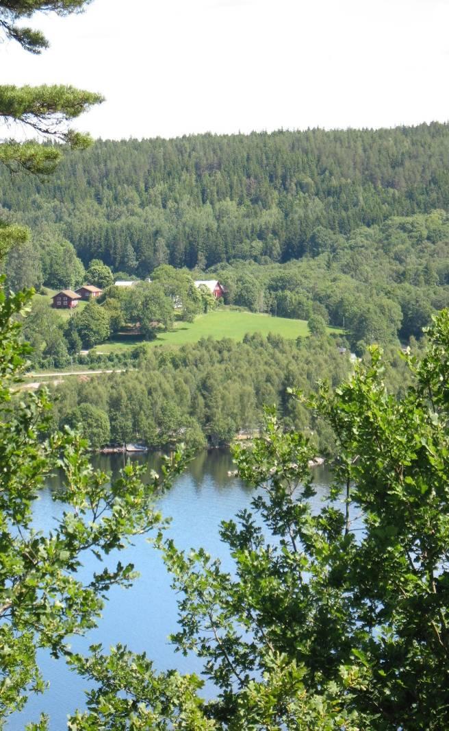 Bilder Vildmarken Vildmarken väster om sjön Lelång utgör ett storskaligt och kuperat skogslandskap där utsikten från vägen på många håll är storslagen.