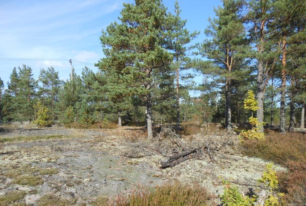 3. Bredmossen Lill-Närten Området Bredmossen och Lill-Närten är en igenväxt vik och omges till större delen av småkullig skogsmark.