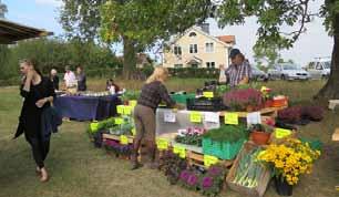 Spelmansstämma vid Rödby hembygdsgård på Lovö den 11 september Allspel från scenen på Lovö I söndags var