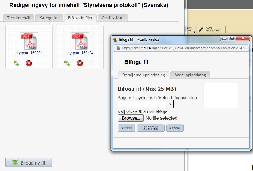 Nu ser du texteditorn för den text som finns i högerkolumnen. Här ska du lägga till en länk till ett nytt protokoll som du laddar upp.