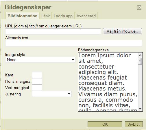 g) Nu står filens namn till höger om knappen Välj (Browse) och du ser att fältet Nyckelord automatiskt har fyllts i med ett nyckelord som är baserat på filens namn.